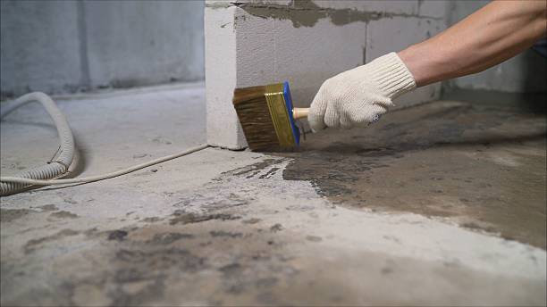 SJ Waterproofing Pros Sump Pump Installation coverage map for Mosheim, TN and surrounding area